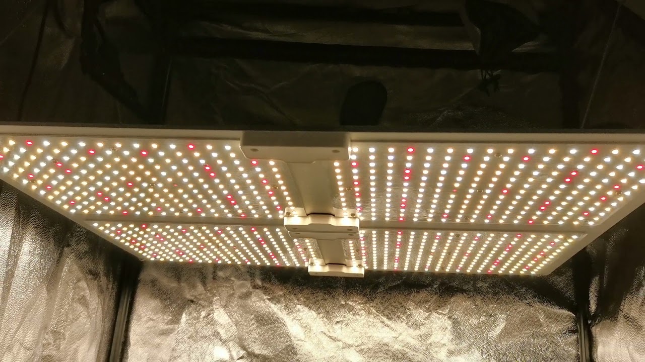 panel LED Quantum Board QB-4000