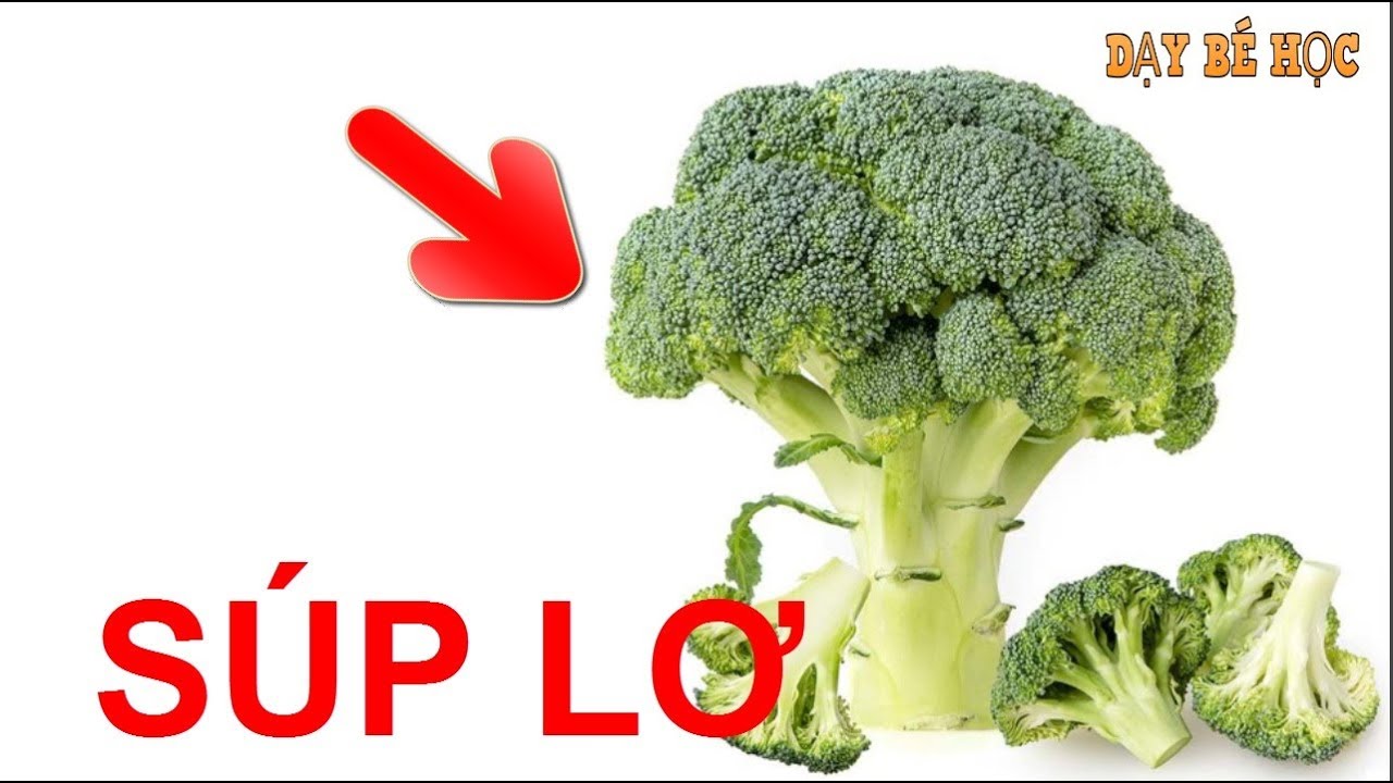 Dạy b&eacute; học rau củ | B&eacute; nhận biết c&aacute;c loại rau củ quen thuộc nhanh nhất | B&agrave;i 186