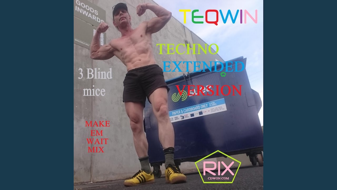 THREE BLIND TECHNO MICE (Extended (make Em Wait Mix))