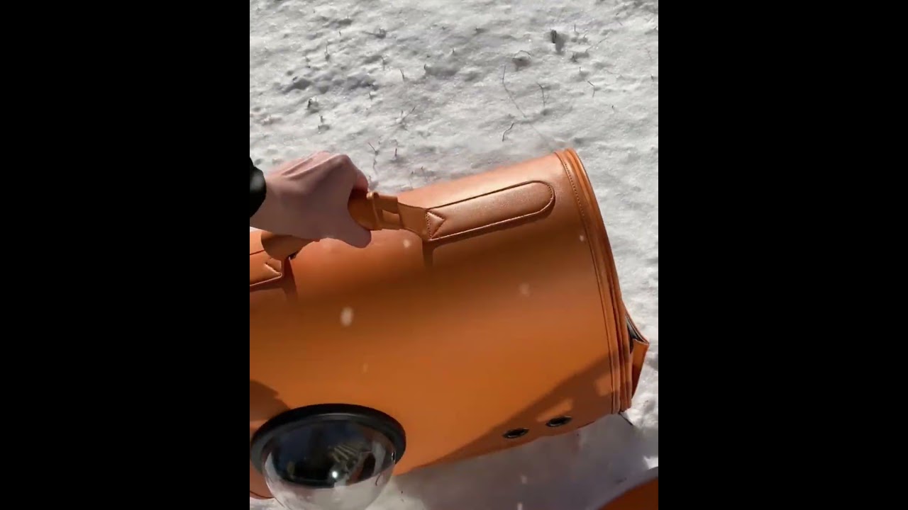 Pet travel bag for long-haul flights with ventilation