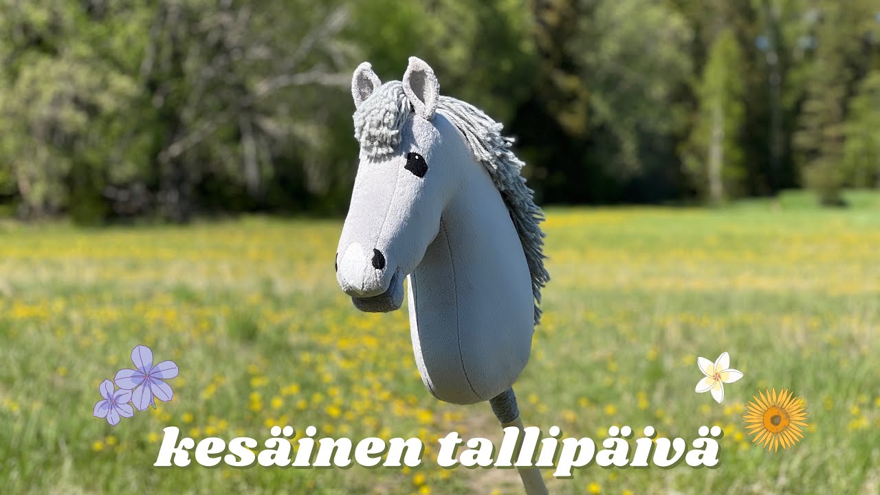 Treenipäivä Titolla 🐴🎧 | Tallivlogi