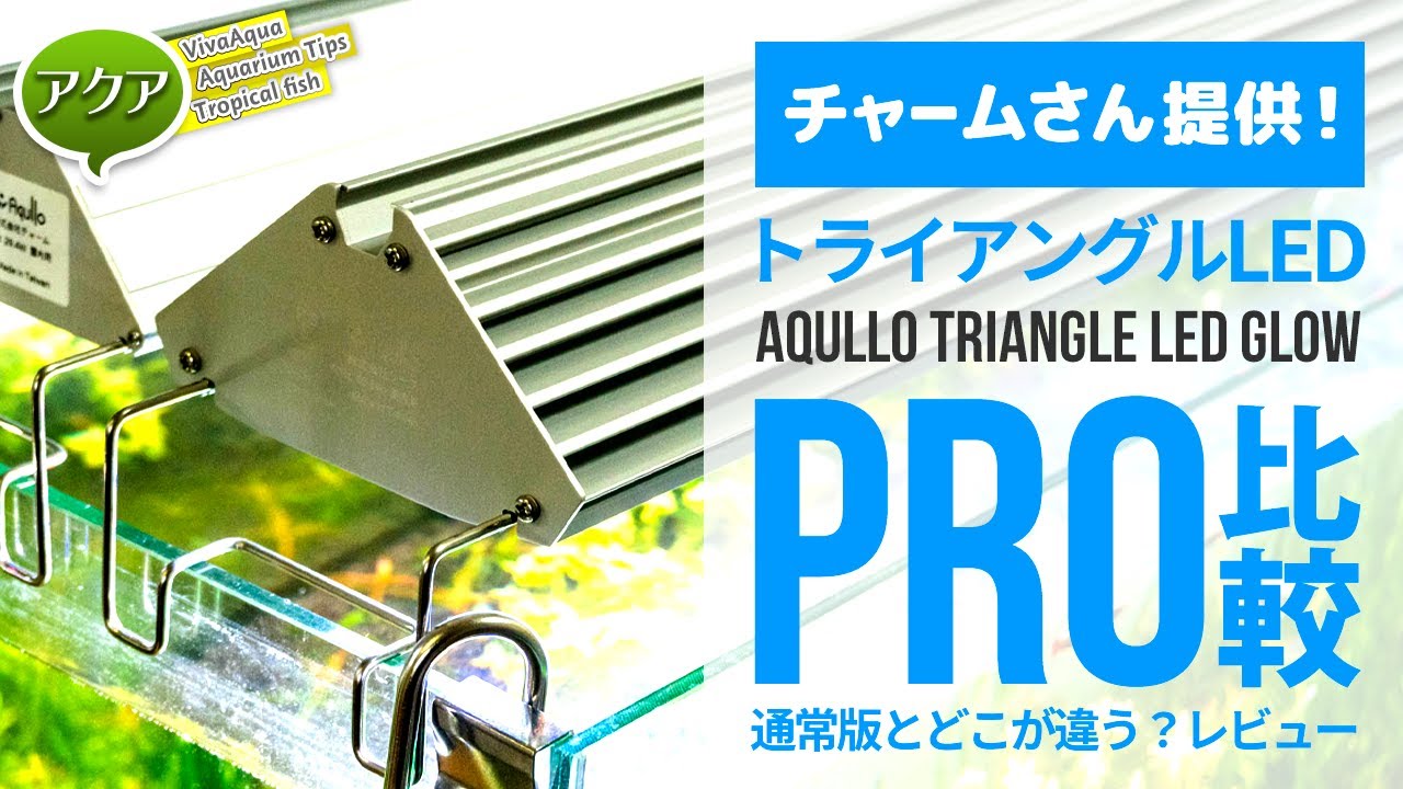 最強LEDを超える？アクロトライアングルグロープロをレビュー！ノーマルおにぎりとの比較も #LED照明 #アクアリウム #チャームさん提供 【ビバアクア】
