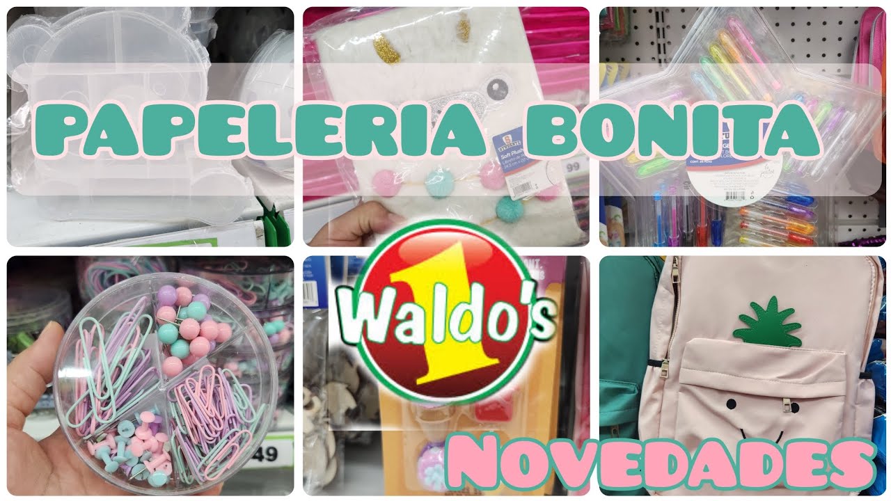 RECORRIDO EN WALDOS ✳️ NOVEDADES Y PAPELERIA BONITA ✳️