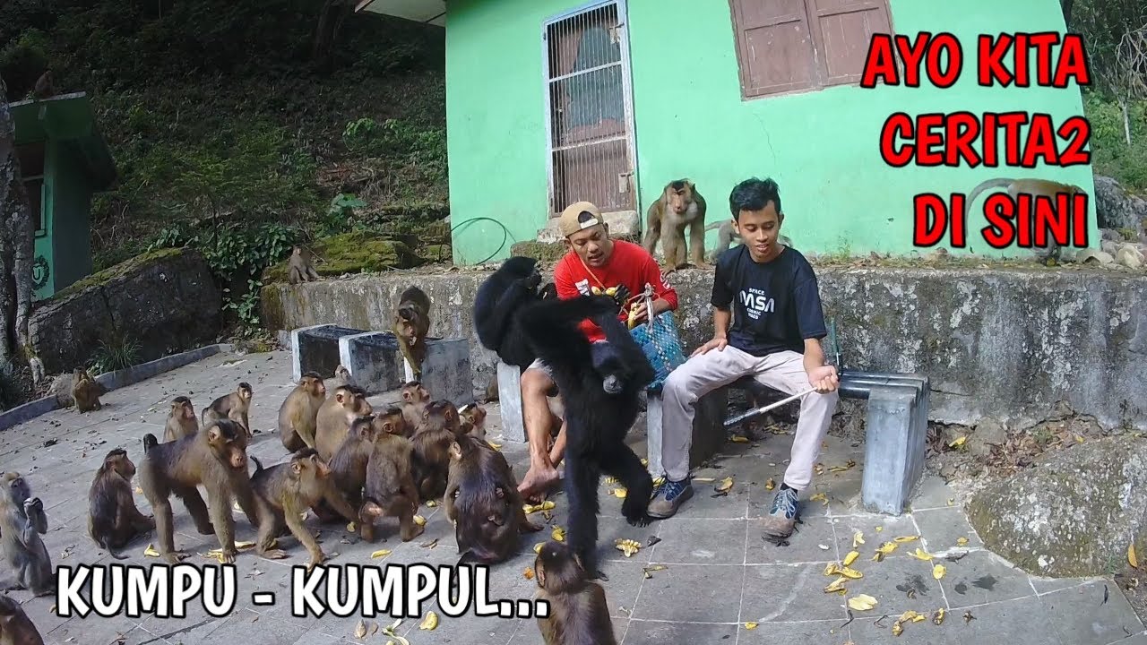 Aku merindukan kalian semua nya 😢