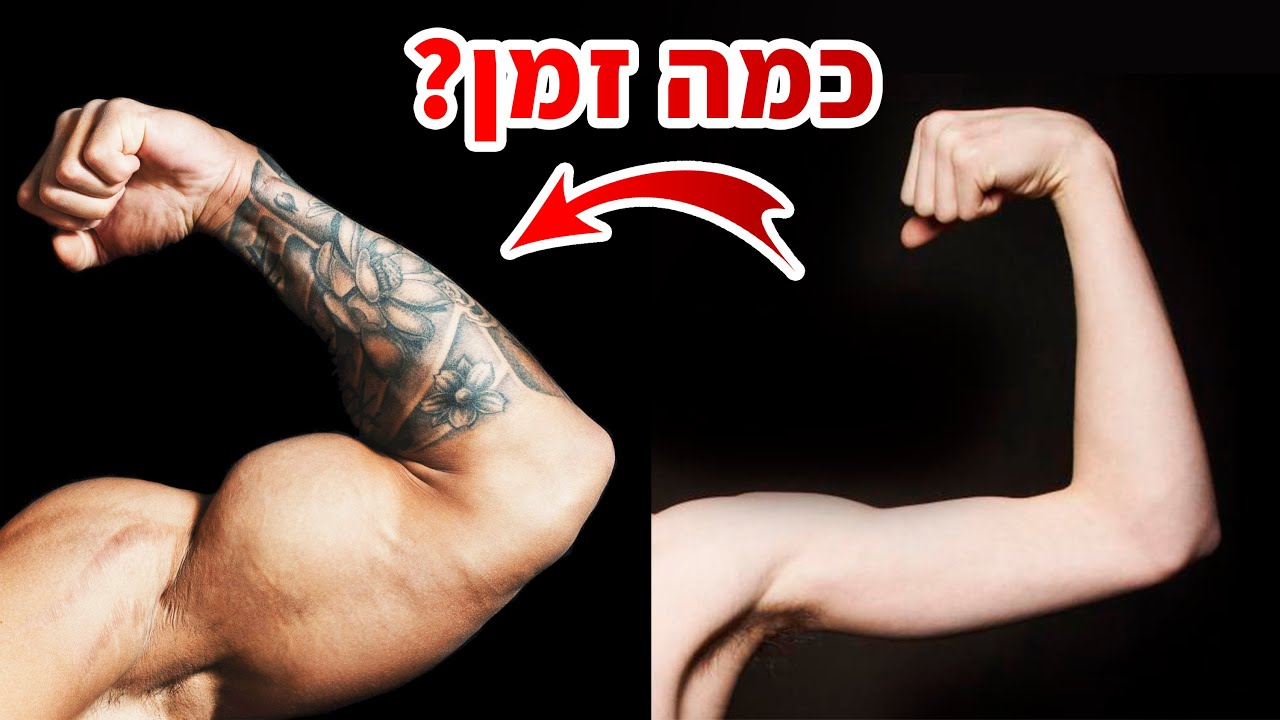 טיפ בדקה - כמה זמן לוקח לפתח מסת שריר