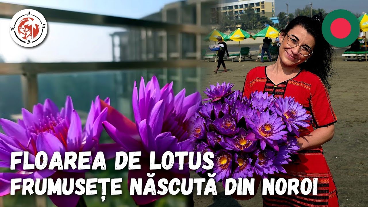 Lecția Florii de Lotus în Bangladesh