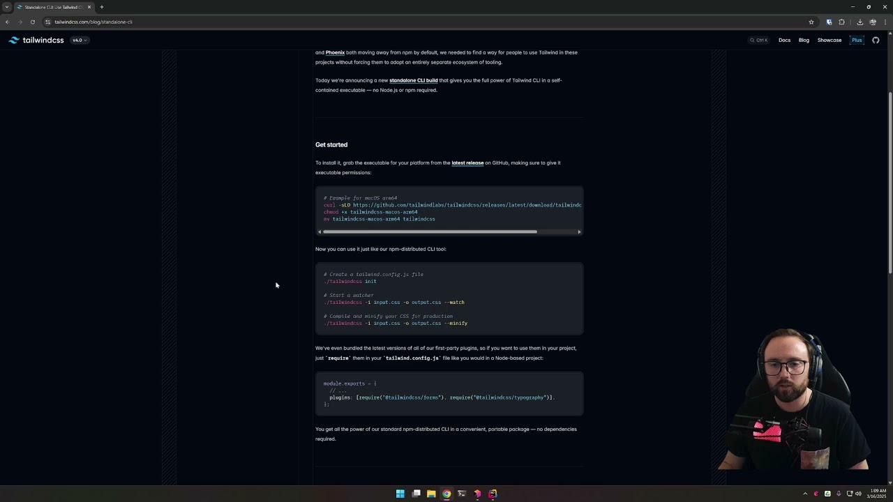 Using Tailwind the right way with .NET