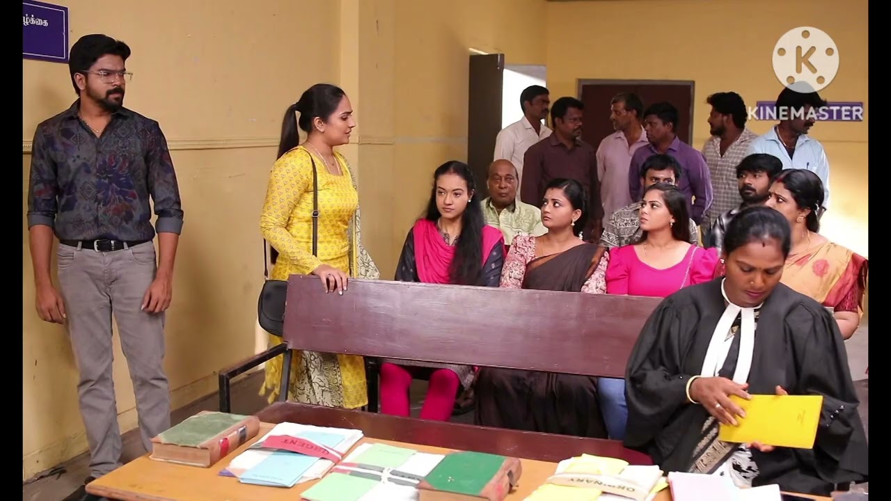 சிறகடிக்க ஆசை. 9.2.2026. தெனாவட்டில் ரோகினி. திகைத்து நிற்கும் குடும்பம். சீரியல் ரிவ்யூ.