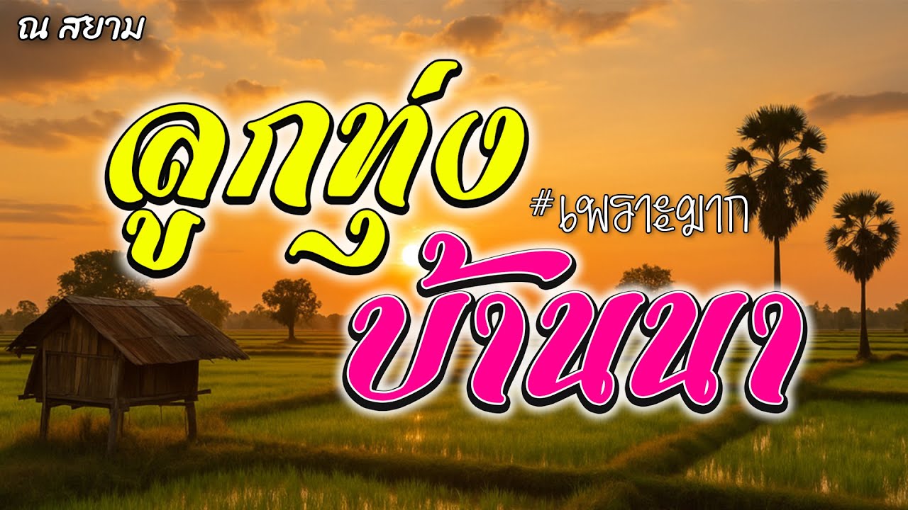 ลูกทุ่งบ้านนา | แมน มณีวรรณ , เอ๋ พจนา | #พี่เมาวันเขาหมั้น #ขอให้มีเธอ #รักสาวรุ่นพี่