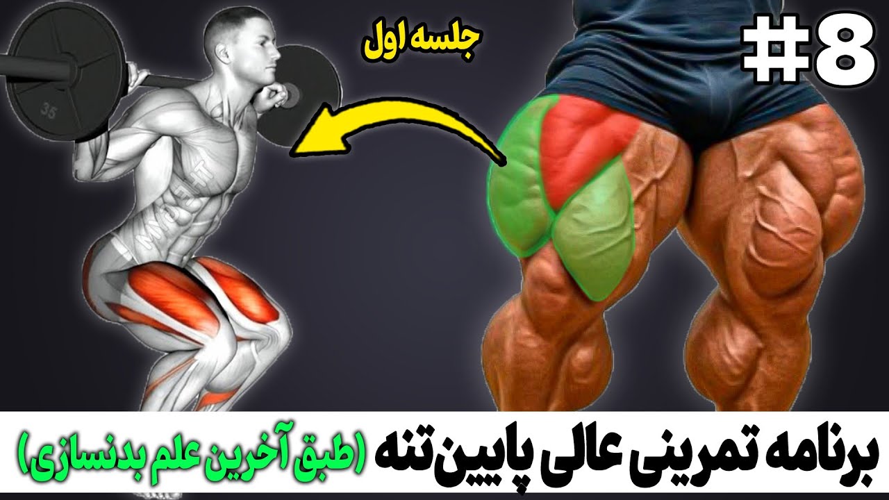برنامه تمرینی عالی پایین تنه (طبق آخرین علم بدنسازی - جلسه اول)