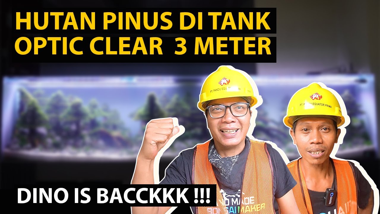 [PROJECT VLOG] TIM AQUAIR JADI KULI PROYEKKK!!!! BIKIN AQUASCAPE PAKAI APD!!