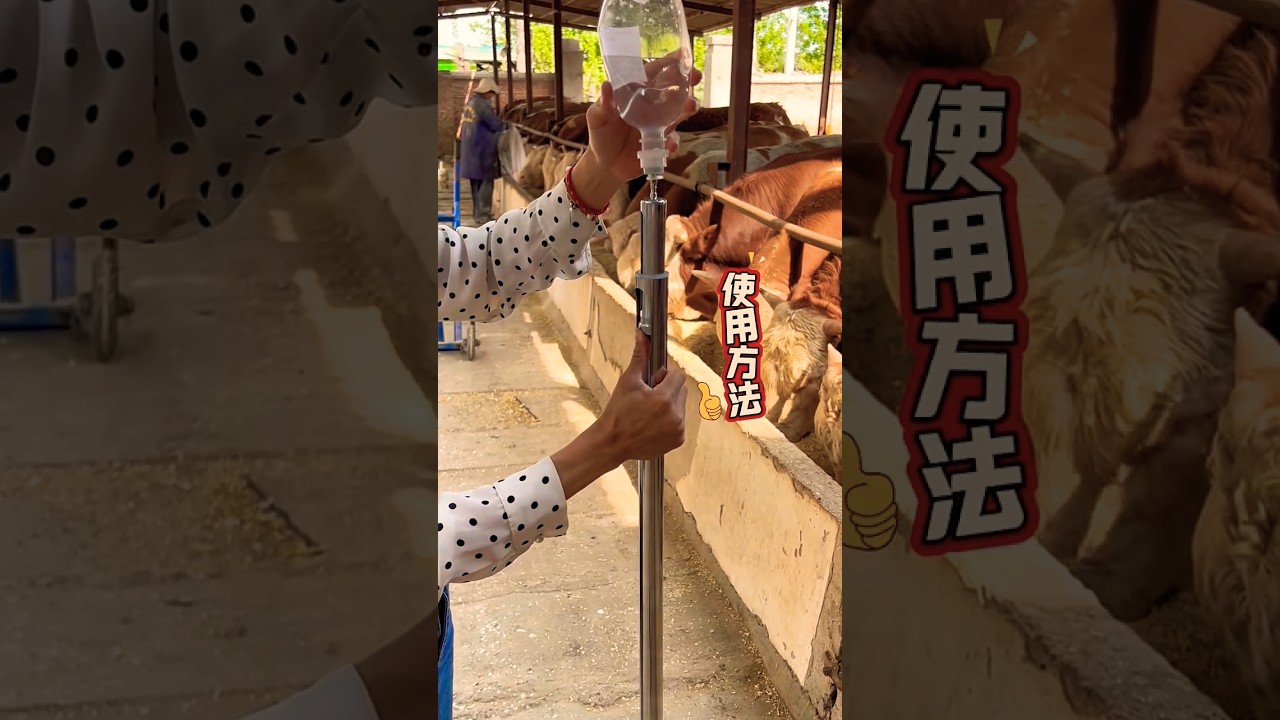 #veterinary #syringe #for #cows #sheep #horses #trending #foryou #fypシ゚viral #cattleworld #tools
