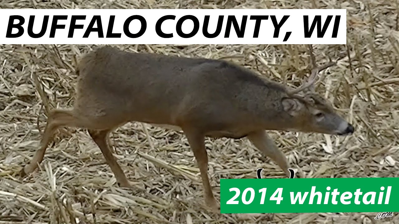 2014 Buffalo County WI  Bow Hunt