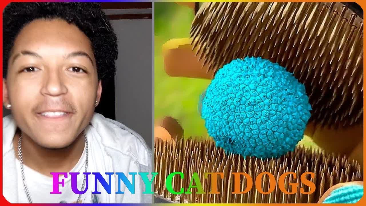 História Com Receitas Da @Romulo.h Com SlIme #12