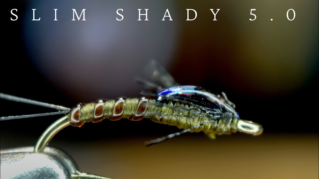 Slim Shady 5.0   4K