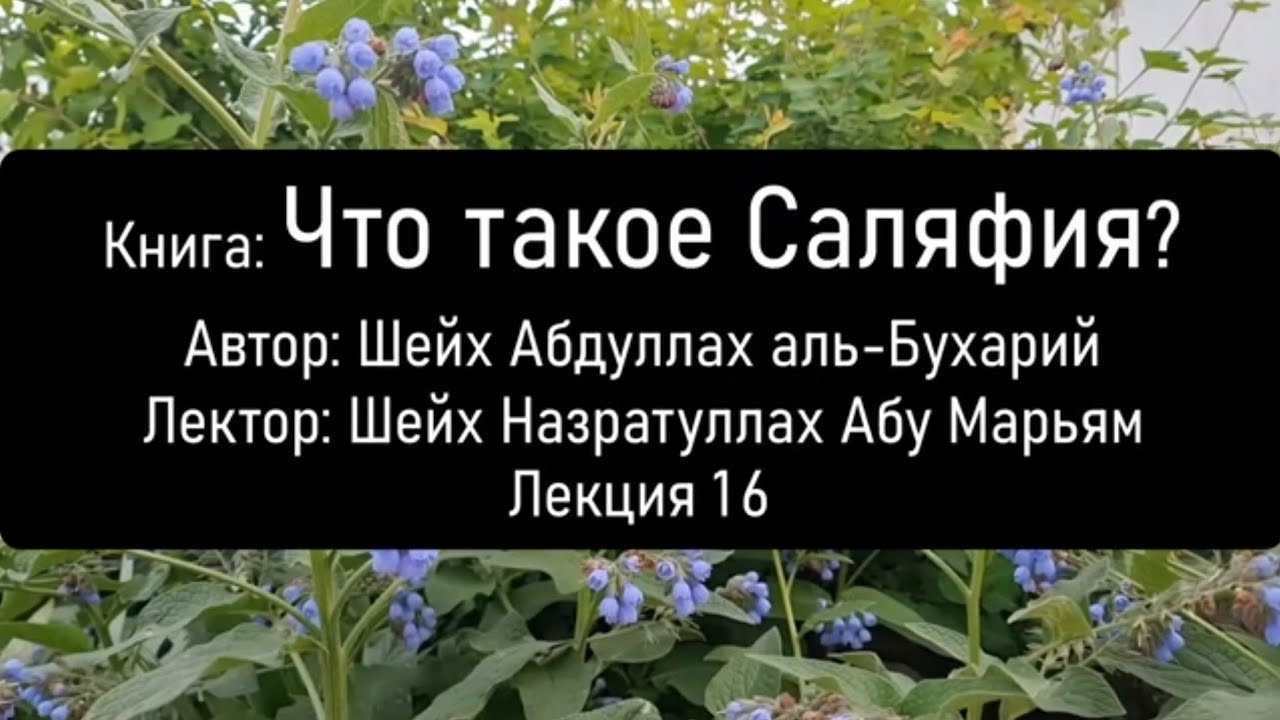 № 16 Книга: Что такое Саляфия? Автор: Шейх Абдуллах аль-Бухарий. Лектор: Шейх Назратуллах Абу Марьям