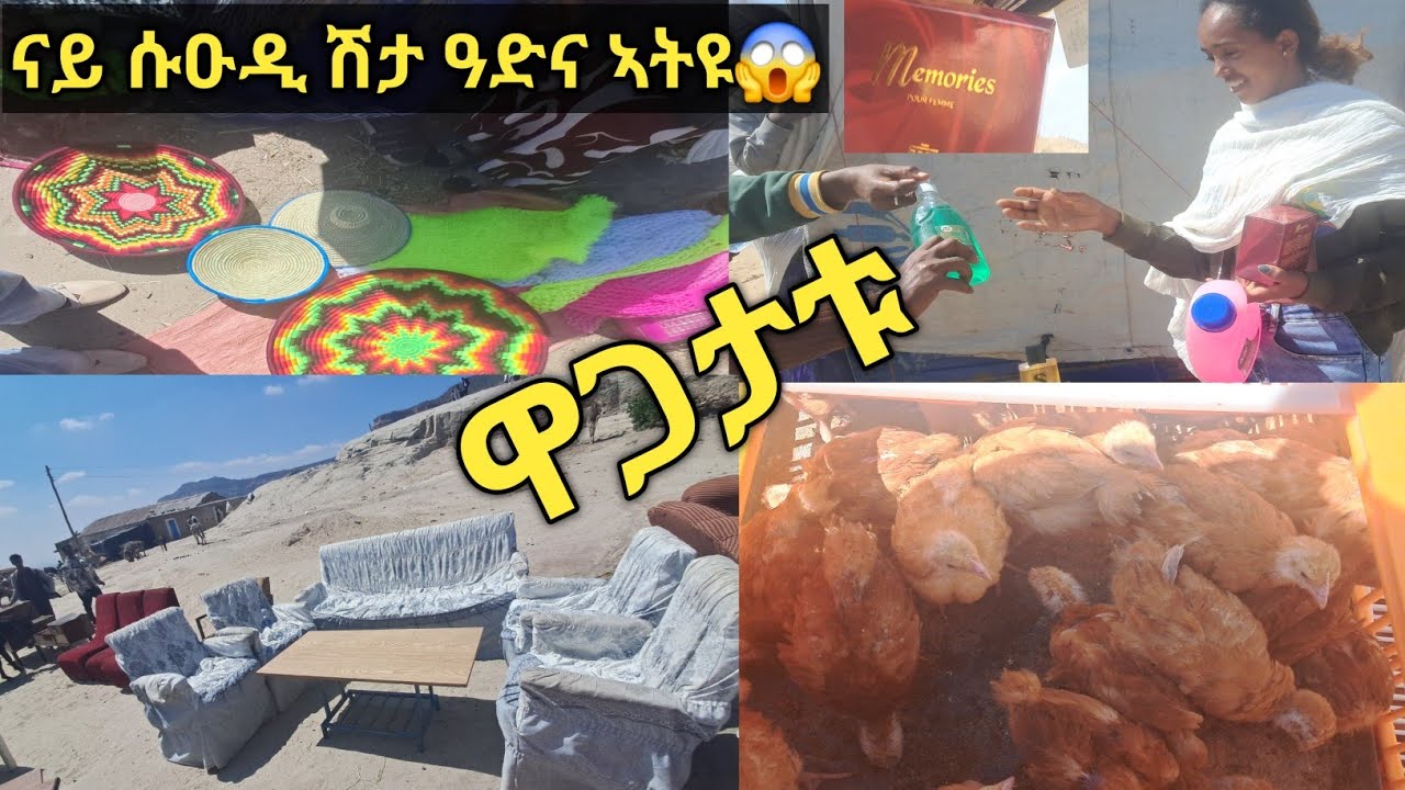 ዋጋ ዘገልገለ ሶፋ |ሶርያውያን ዓድና ኣትዮም😭😭| |ዕዳጋ ሎሚ ከመይ ውዓለ| 8 November 2025