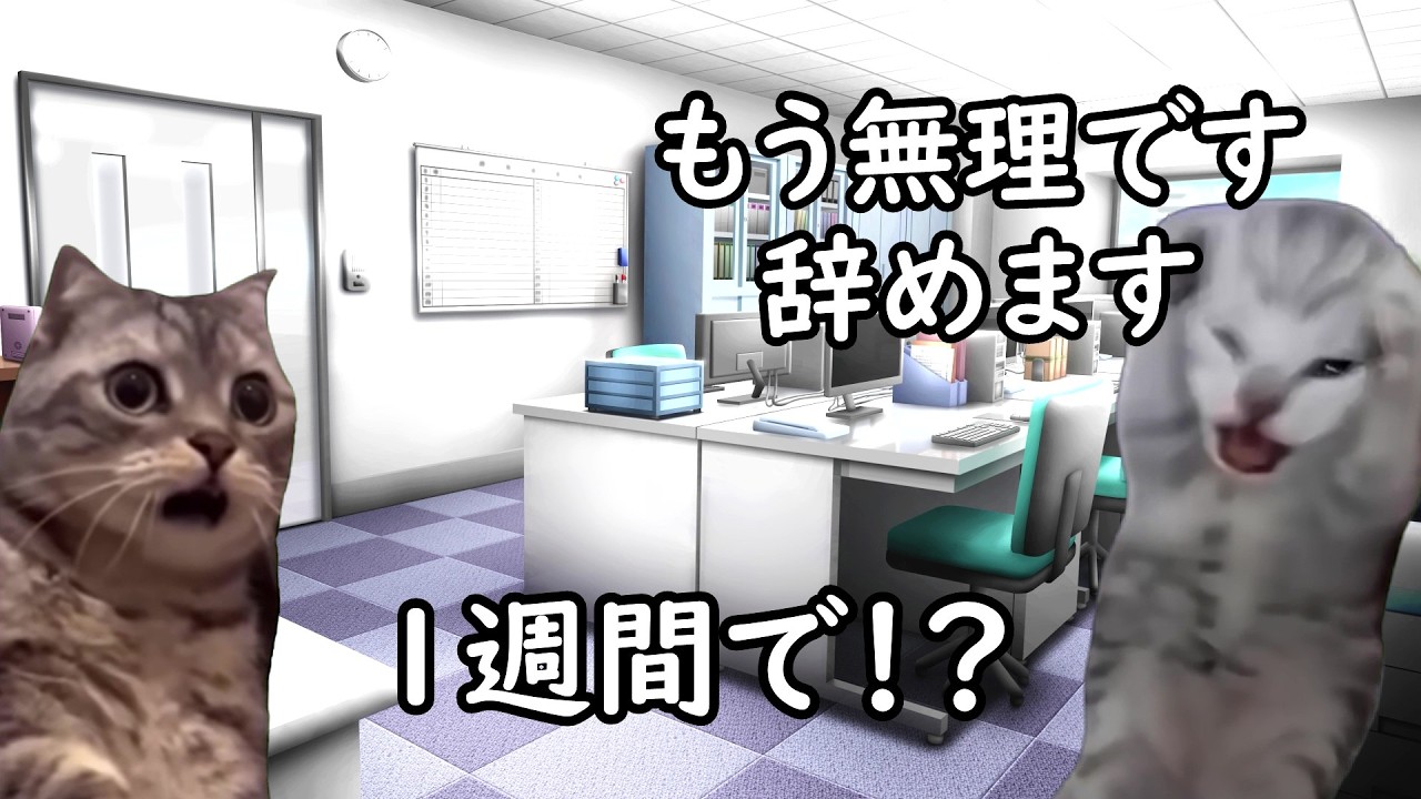 人間関係で人が辞めやすい職場の特徴【猫ミーム】