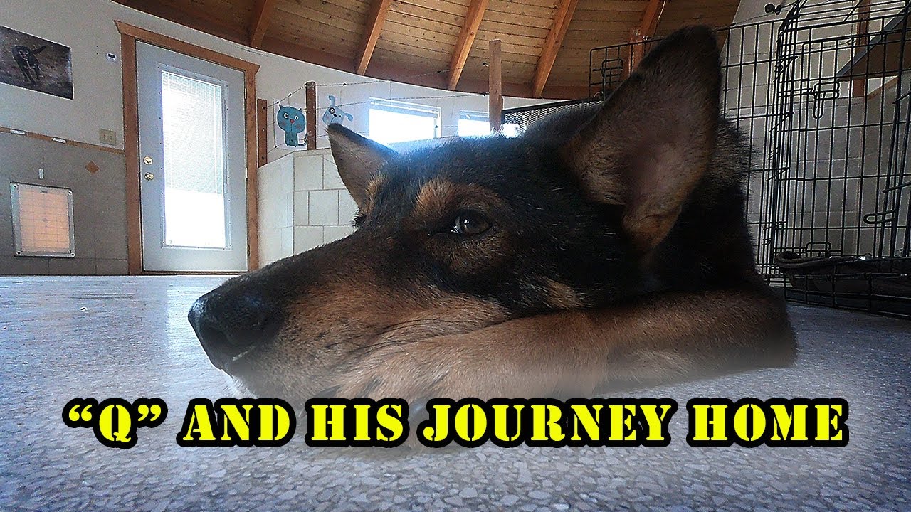 The journey of 