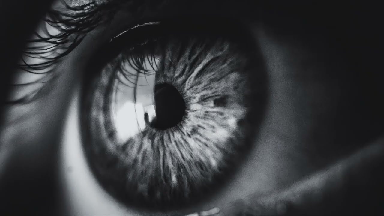 Küllerimden Doğarım - The Music Box