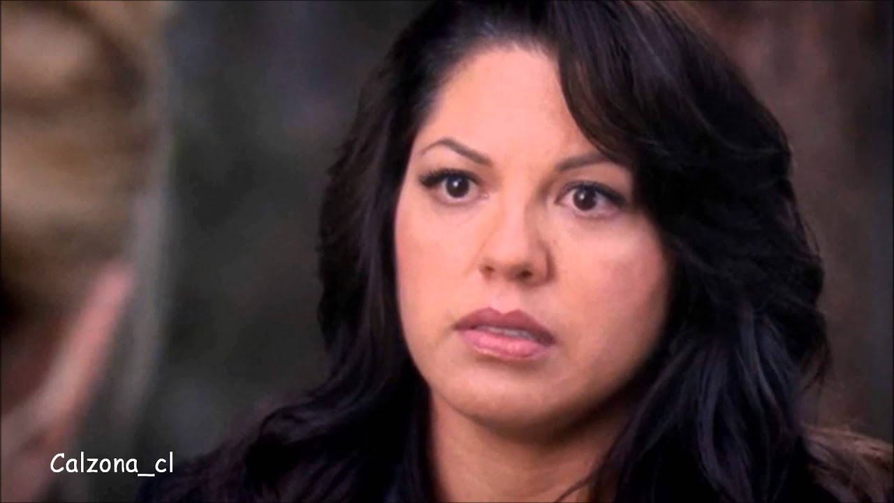 Callie y Arizona - Say you love me