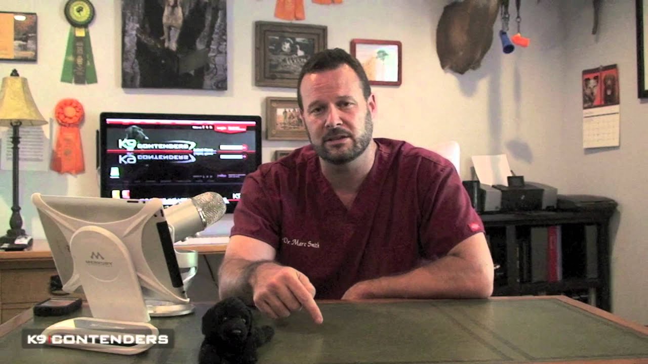 K9C Vet Dr. Marc Smith - Hot Spots