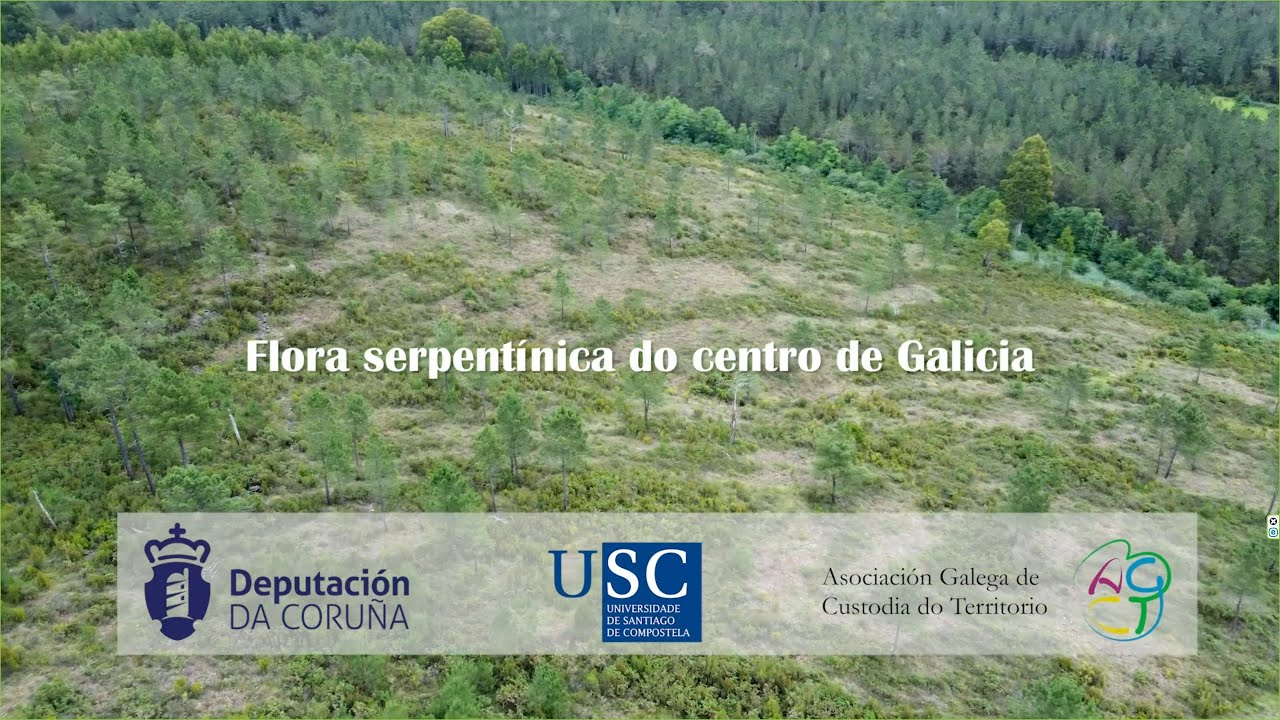Flora serpentínica do centro de Galicia