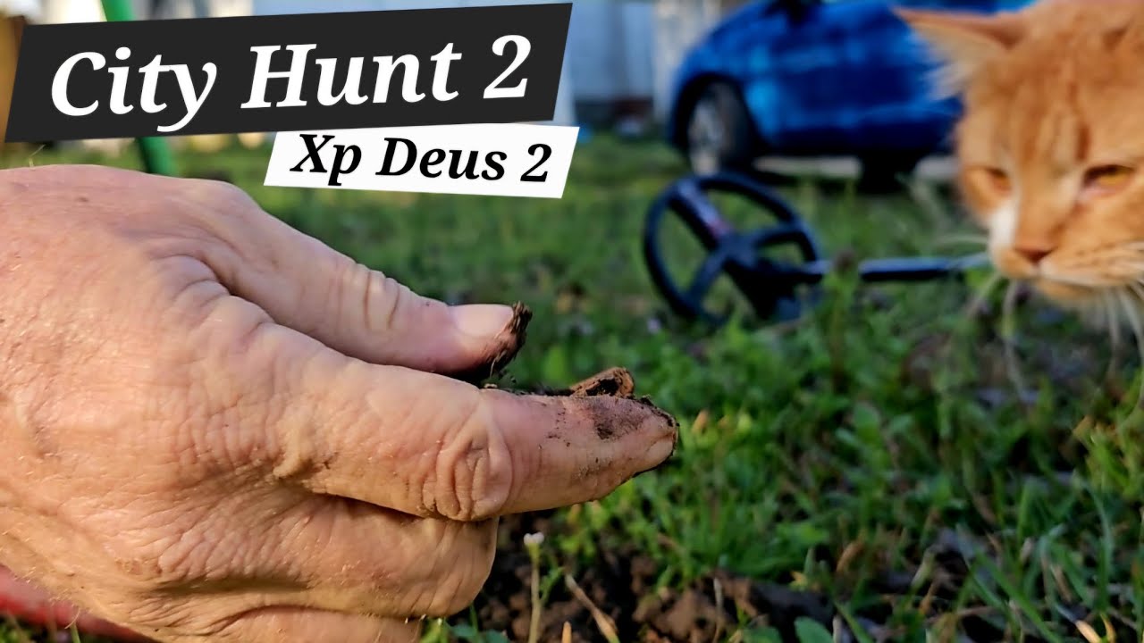Wildlife and Metal Detecting