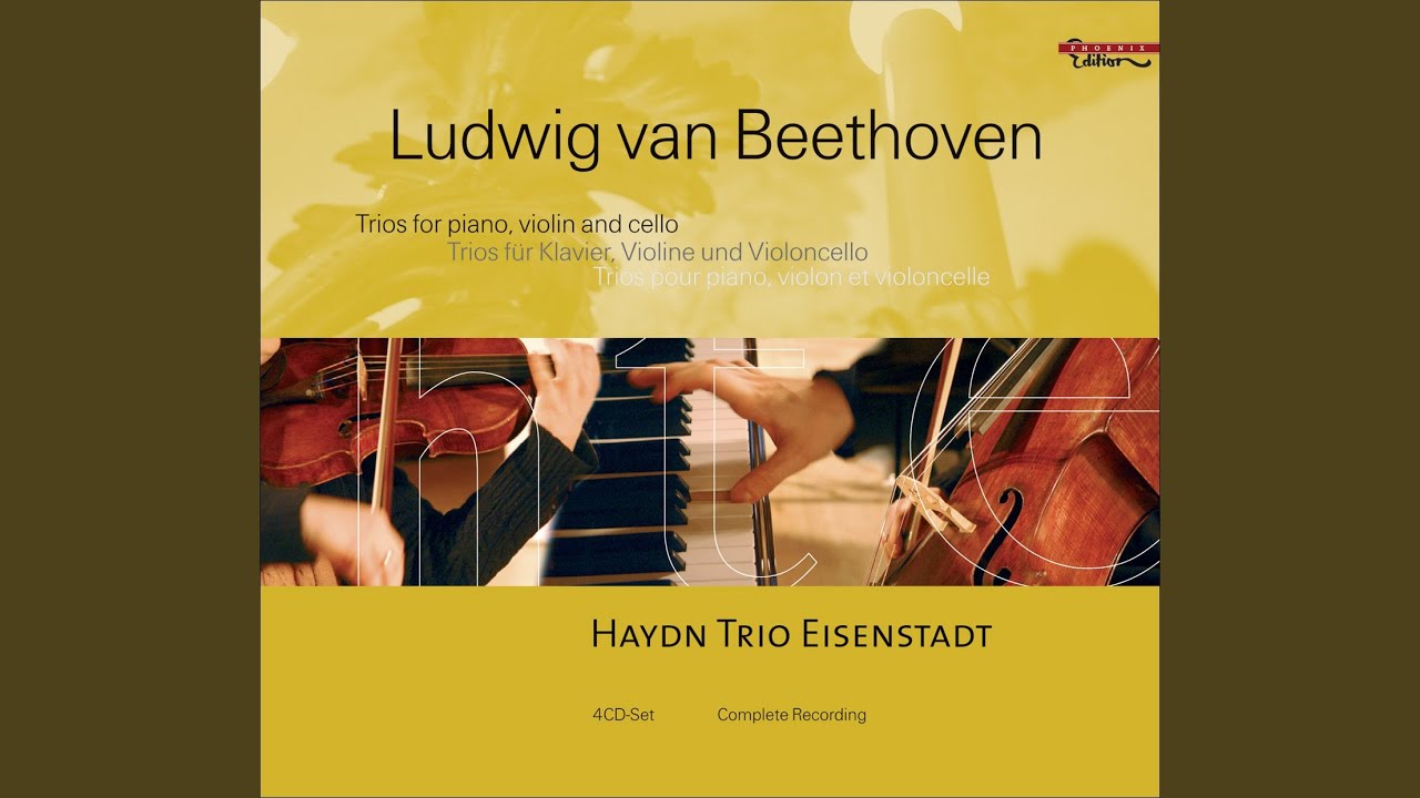 Variations in G Major on Wenzel Muller's Ich bin der Schneider Kakadu, Op. 121a