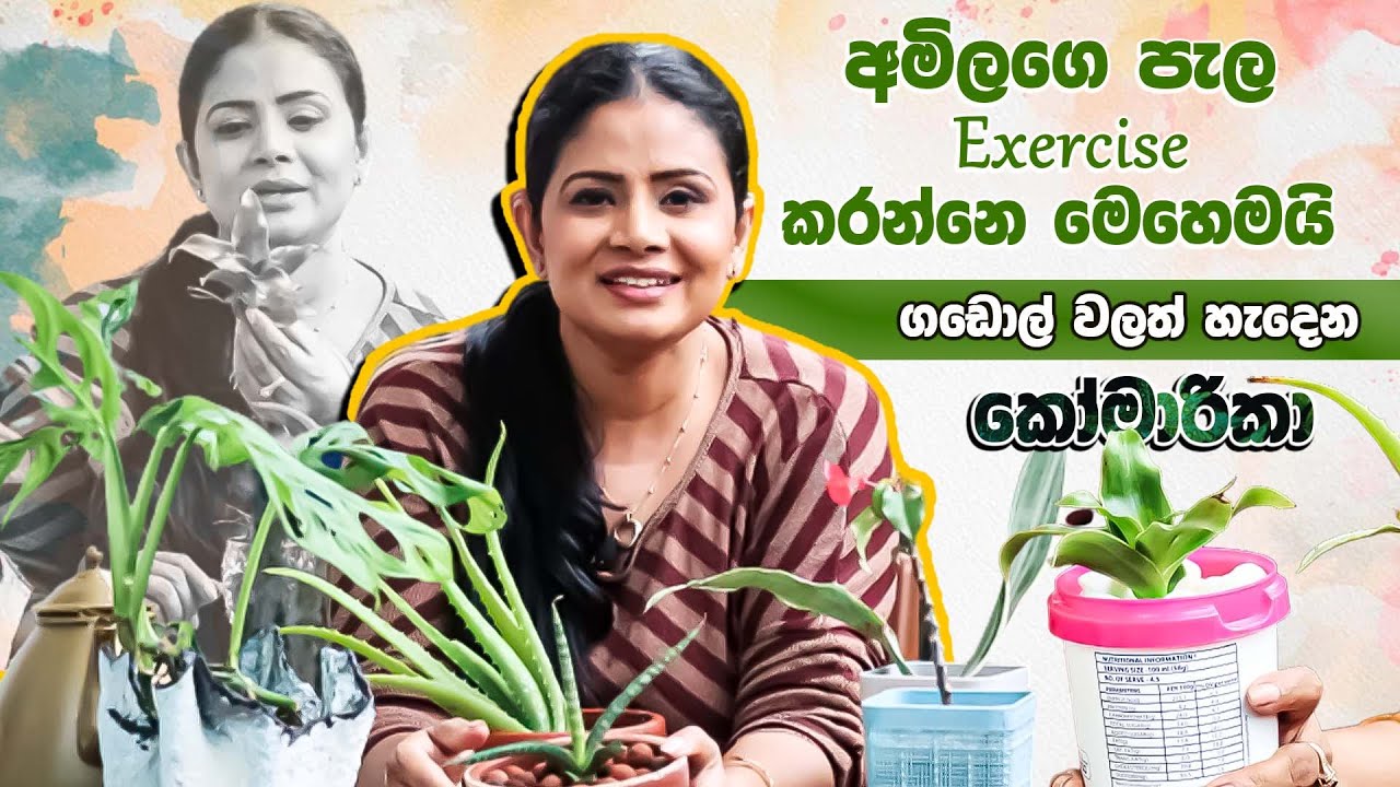 අමිලගෙ පැල Exercise කරන්නෙ මෙහෙමයි