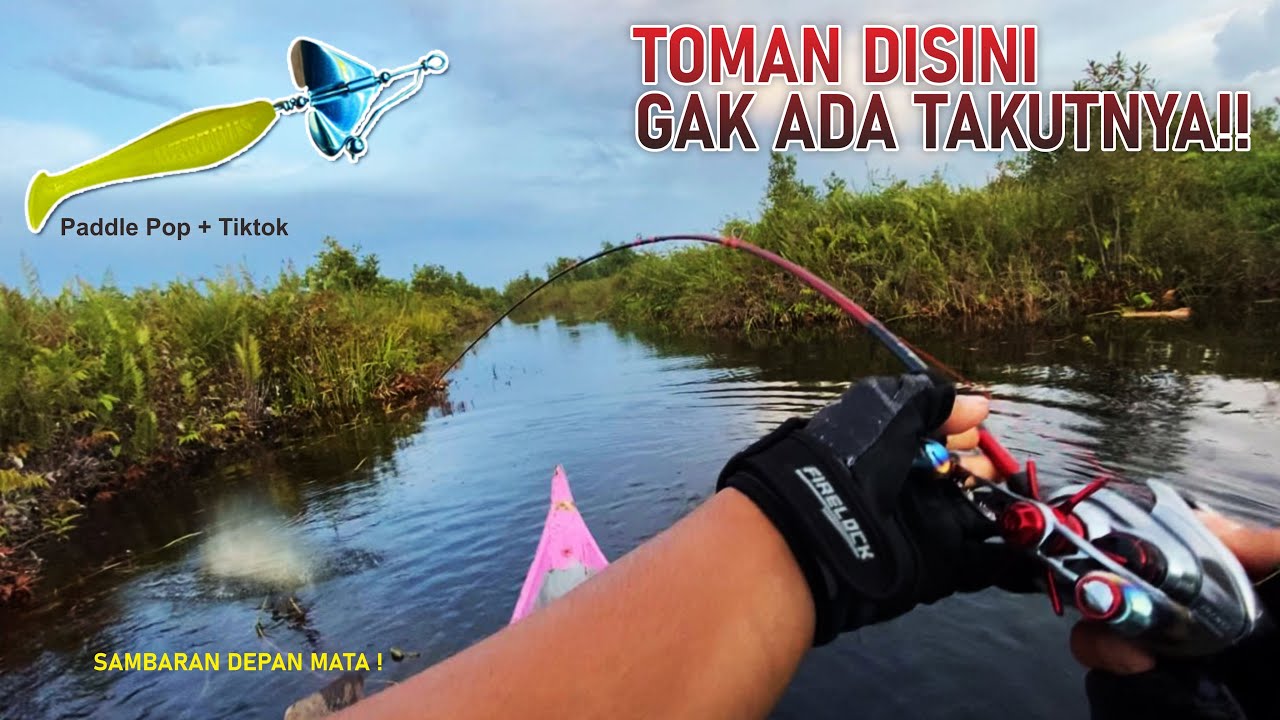 SAMBARAN TOMAN DISINI BIKIN JANTUNGAN  ‼️😱 CASTING TOMAN TEPAT DISARANGNYA ‼️ SHIMANO SCORPION DC