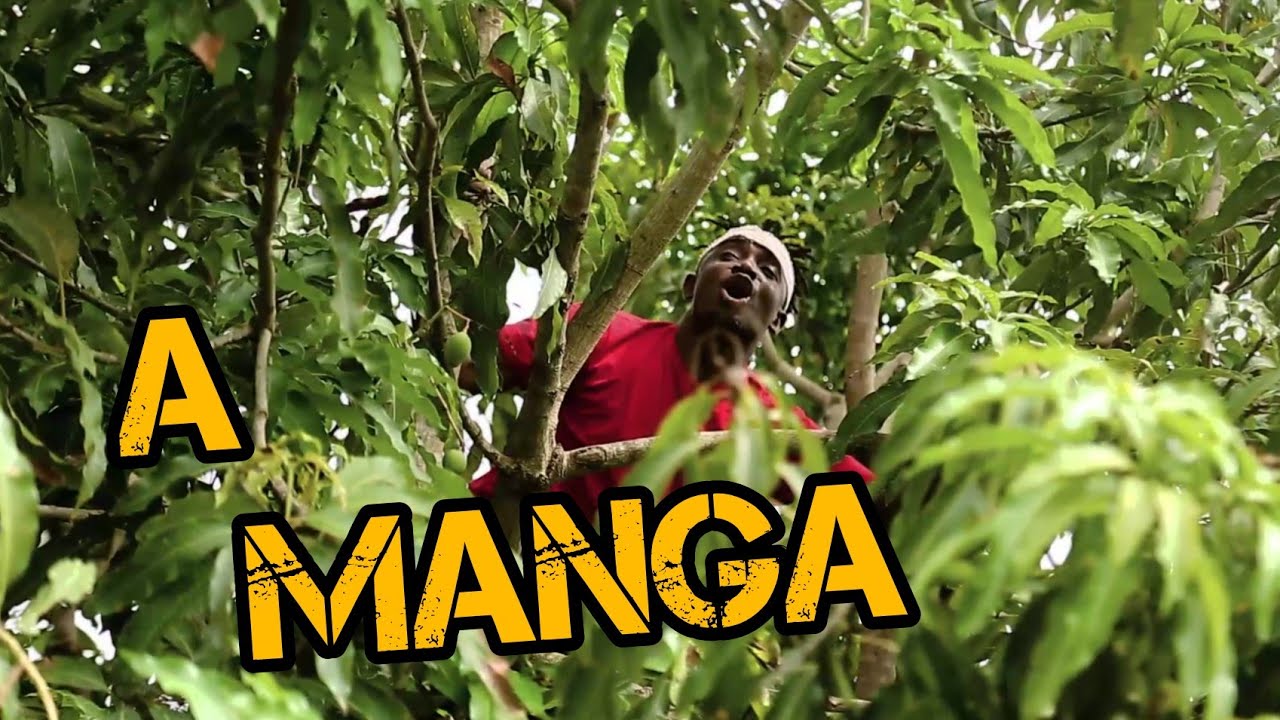 A Manga ( Vandinho e companhia)