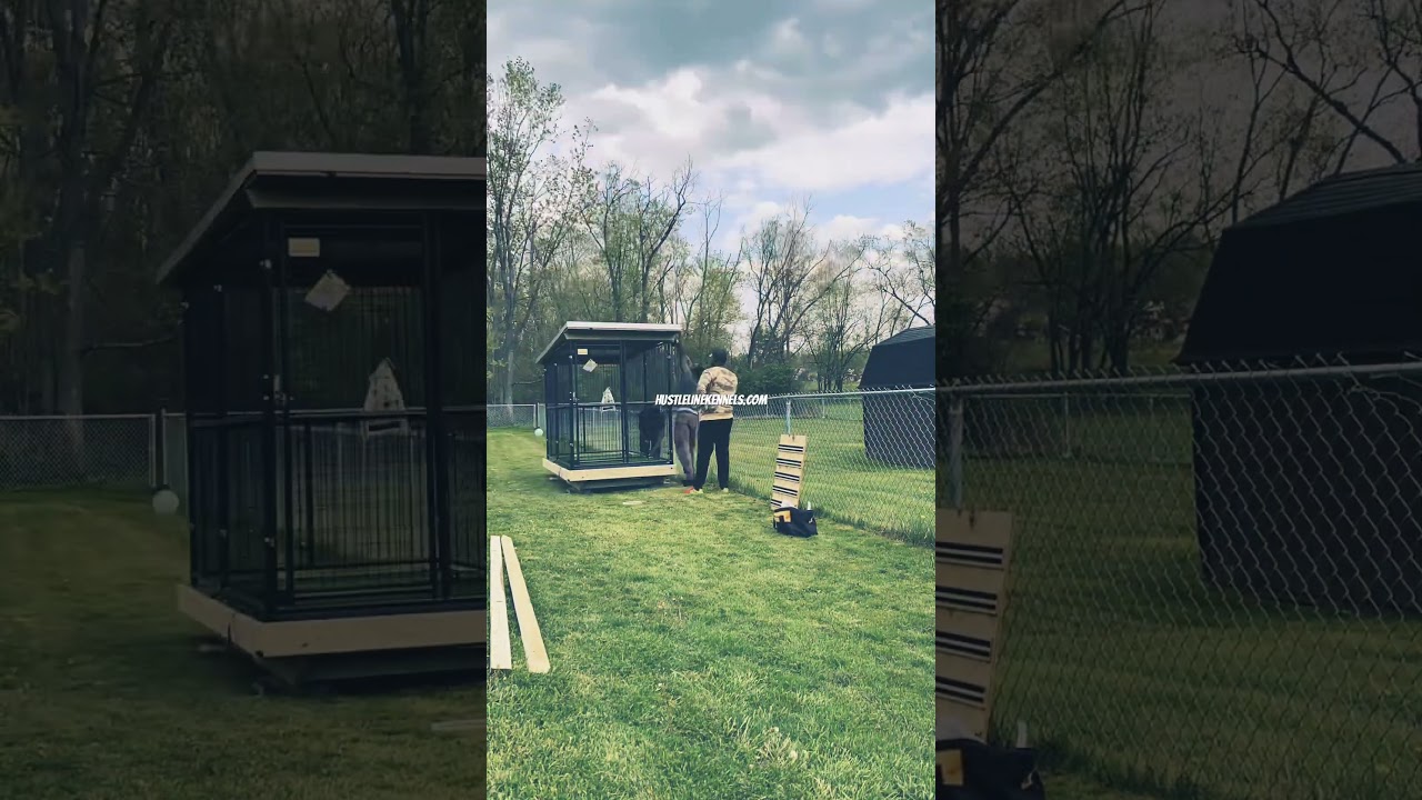 What is the best material for outdoor dog kennel flooring? #dogkennel