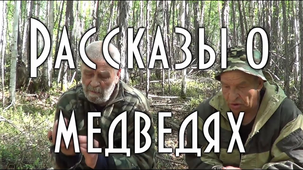 Рассказы о медведях, встречи с медведем, нападения медведя Часть 1