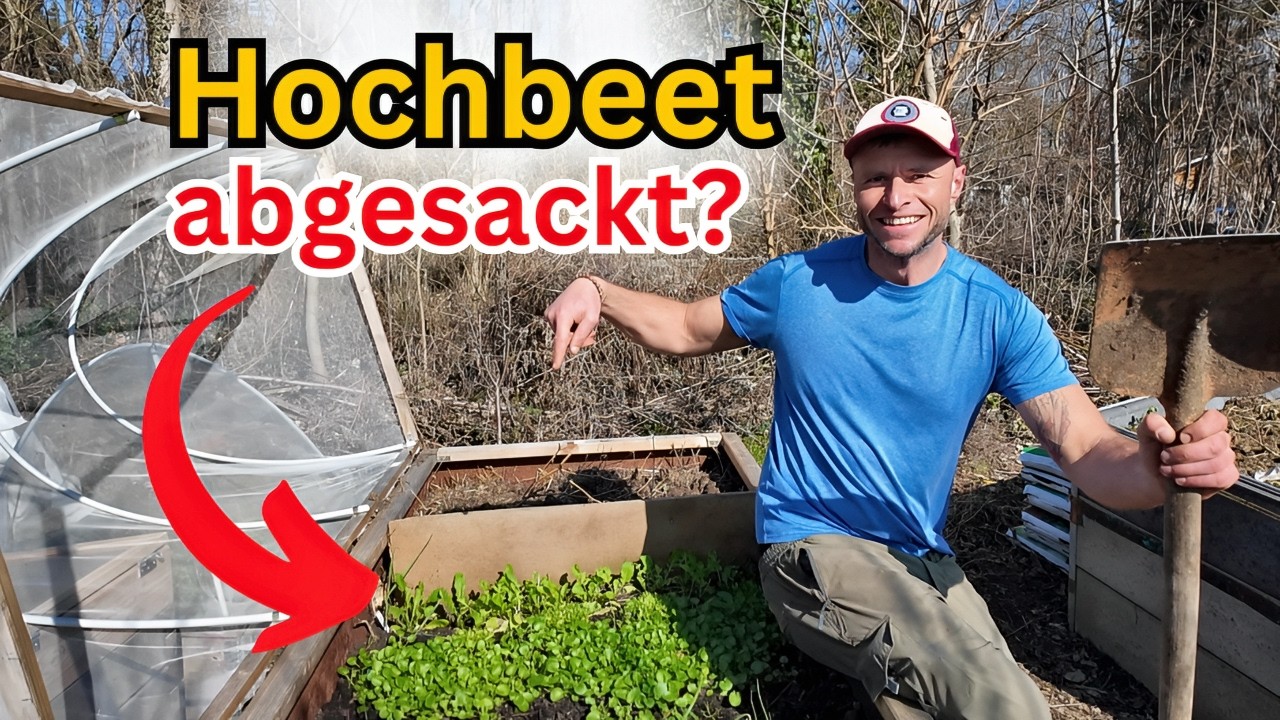 Hochbeet nach dem Winter abgesackt? So bereitest du es perfekt für die Aussaat vor! 🌿✅