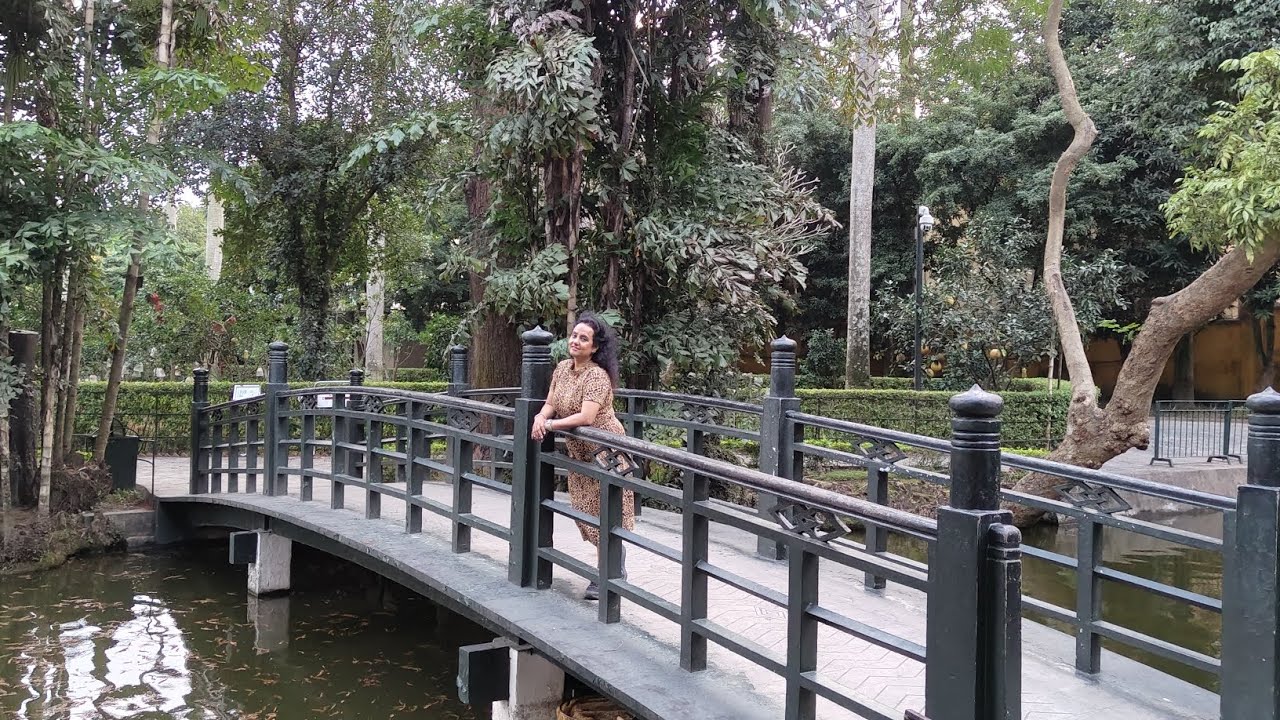 Extensive North to South Vietnam Trip - Part 1 