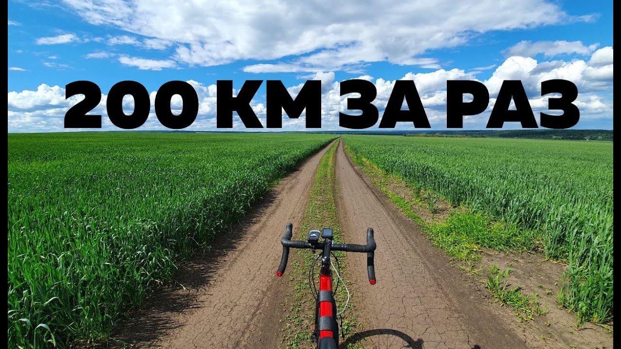 200 км за раз. Бревет Ярки