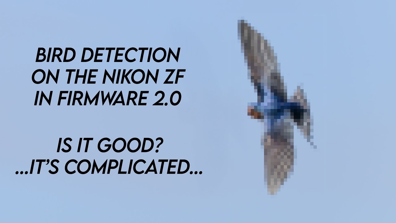 Birding on the Nikon ZF with Firmware 2.0 - bird subject detection isn't ideal!