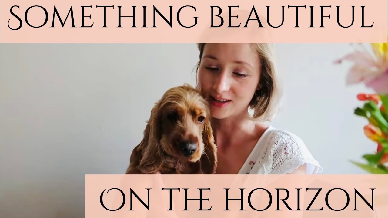 Something Beautiful On The Horizon For You..🌅💛*Pick a card* Timeless Tarot Reading