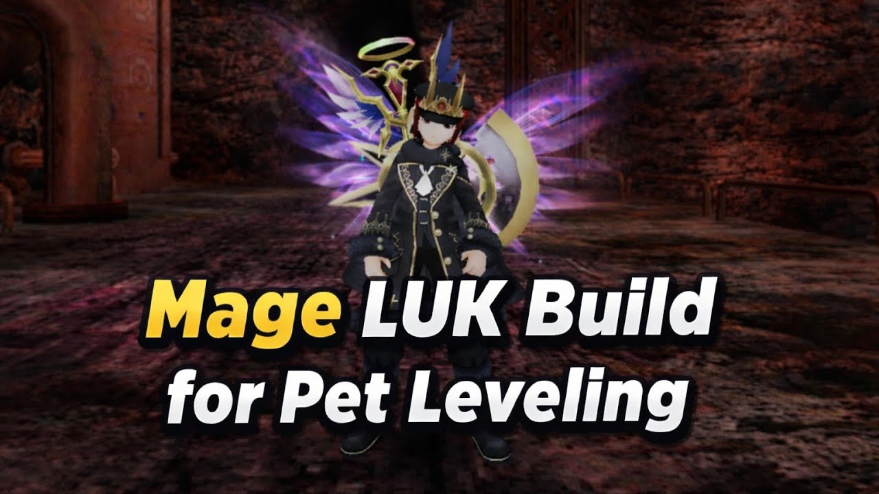 Mage LUK Build for Pet Leveling | Toram Online
