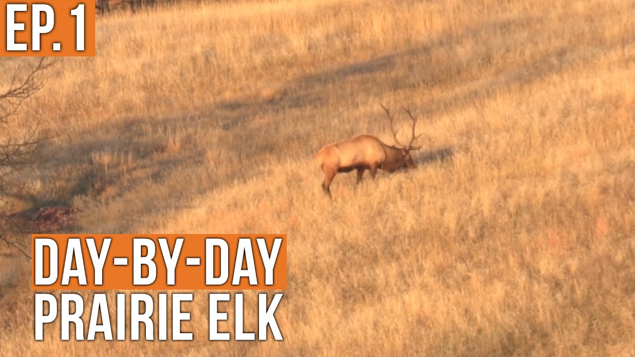 Rifle Season Is Finally Here | Prairie Elk (Ep.1)