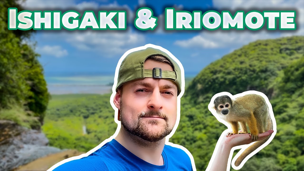 Der heftige DSCHUNGEL Japans 🐍🇯🇵 ...6 Reisetipps!