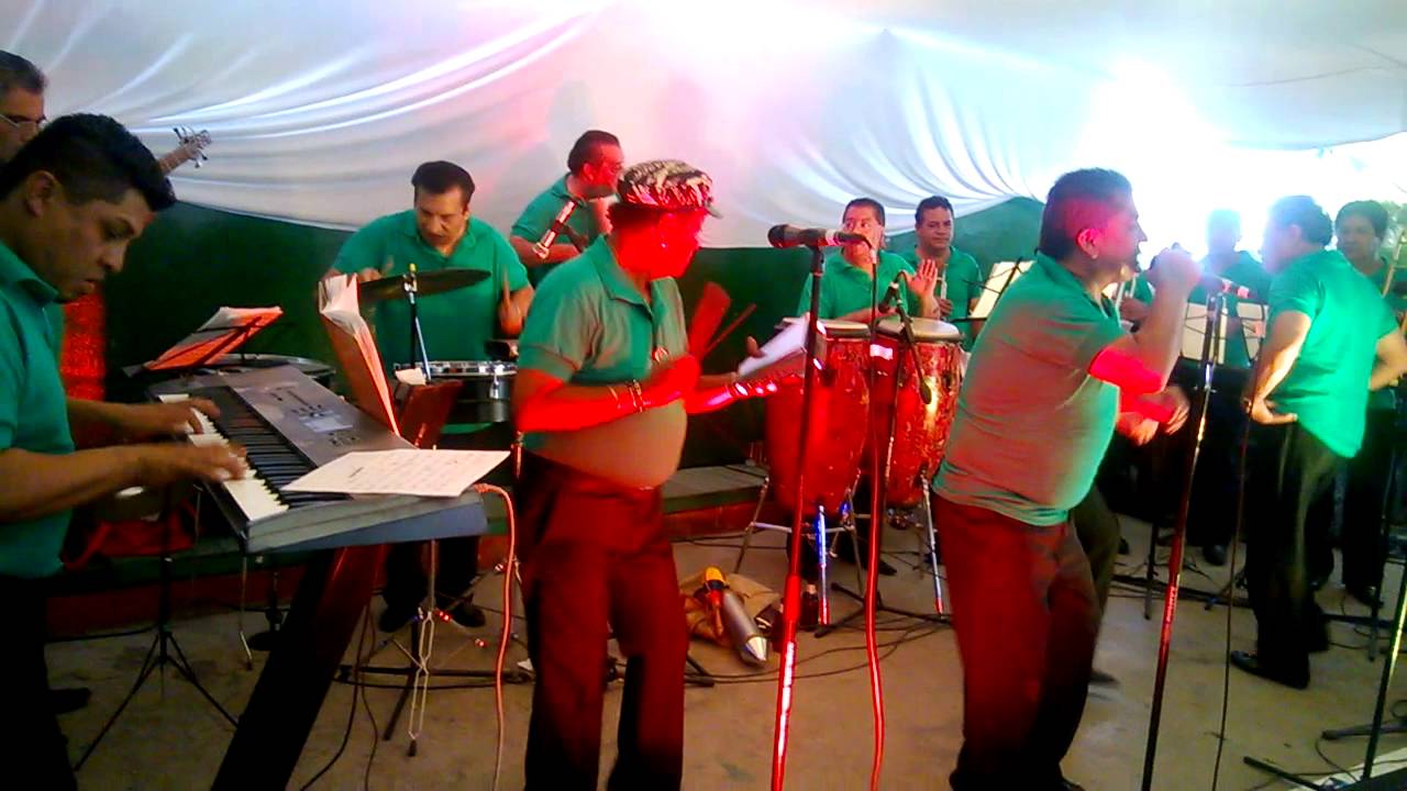 El chico vacilon, reencuentro de los ex gatos negros