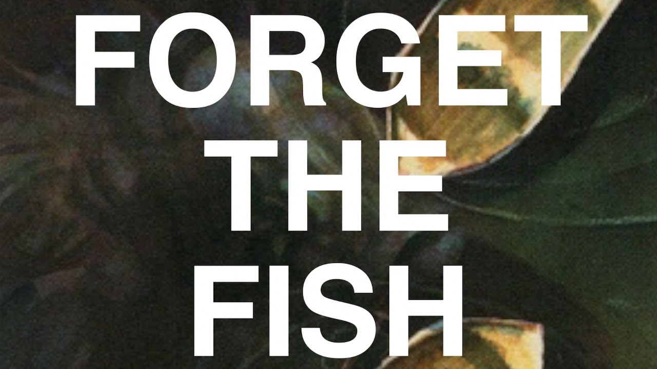 How We Broke Dandân: Magic’s Weirdest Format