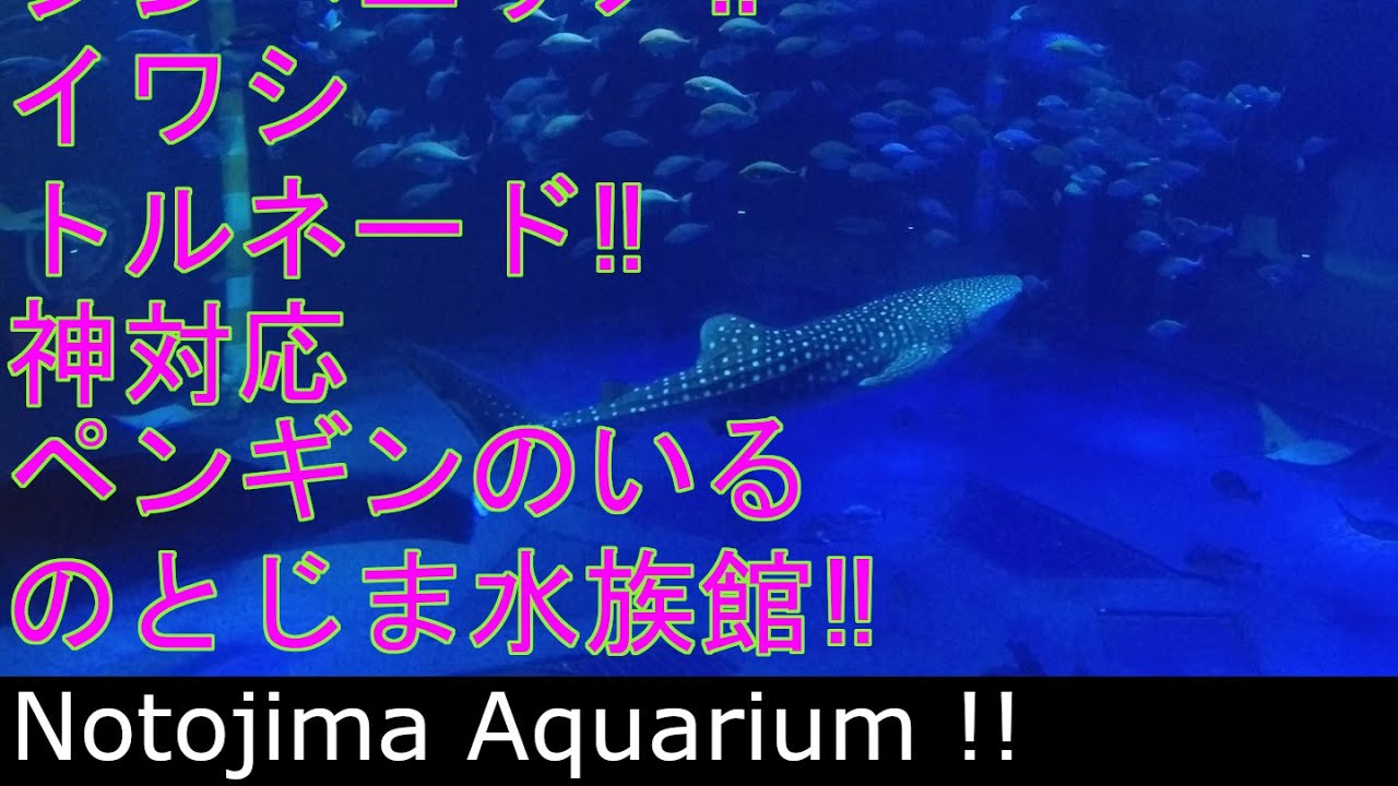 Notojima Aquarium. Japan. Kanazawa. Noto. Travel. Tourism. Live camera.