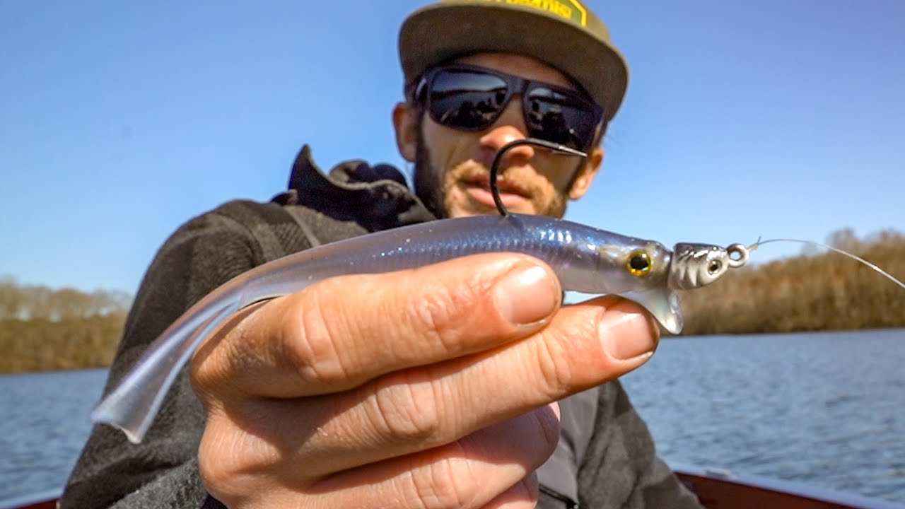 Testing New Jackall Drift Fry!