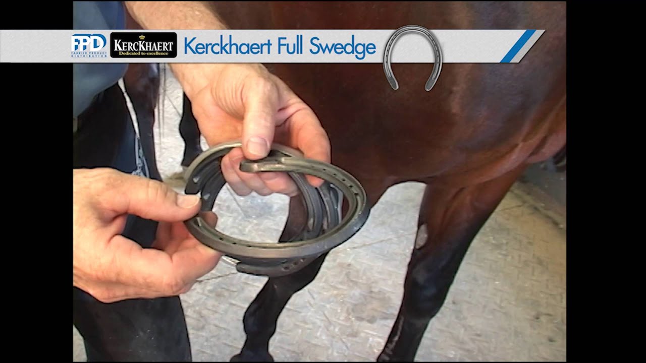 FootPro Series - Standardbred Evaluation