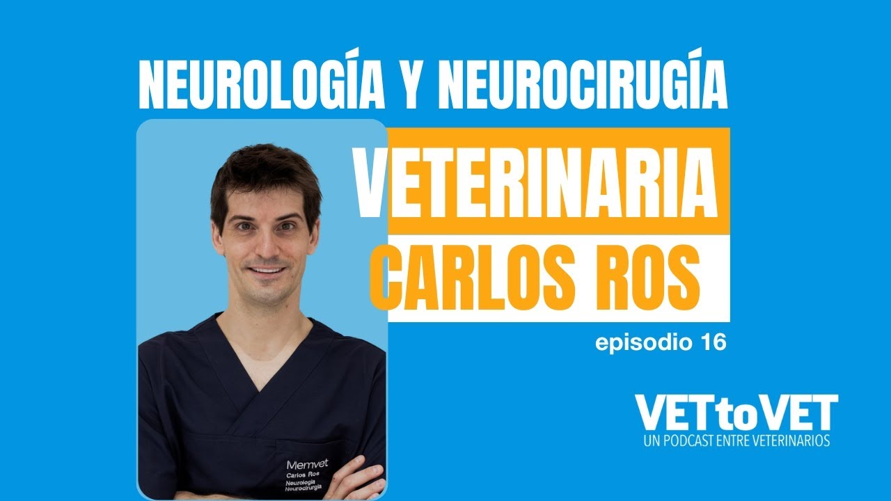 E16 Podcast Vet to Vet: Neurología y Neurocirugía veterinaria, con Carlos Ros