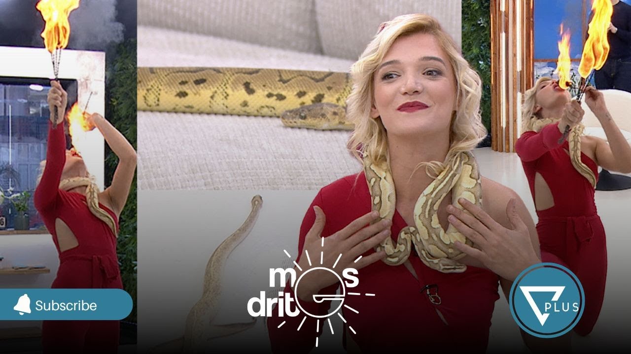 &ldquo;E rrall&euml;: Tre gjarp&euml;rinj pushtojn&euml; studion televizive &ndash; Mes&rsquo;drit&euml;&rdquo;