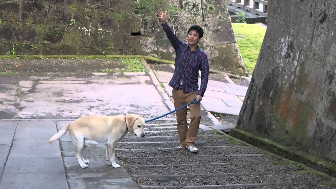 テツロウハナサカ『ありがとう』PVフルバージョン